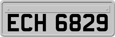 ECH6829