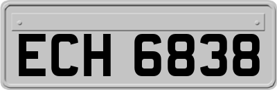 ECH6838
