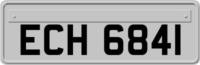 ECH6841
