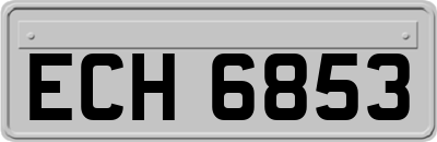 ECH6853