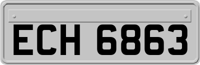 ECH6863