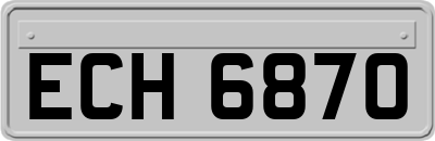 ECH6870