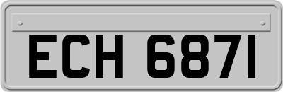 ECH6871