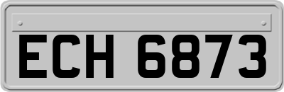ECH6873