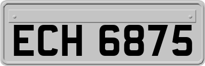 ECH6875
