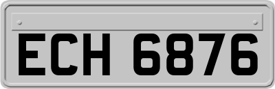 ECH6876