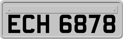 ECH6878