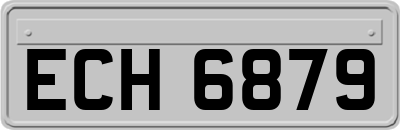 ECH6879
