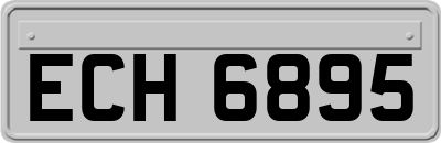 ECH6895
