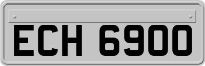 ECH6900
