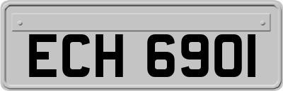 ECH6901