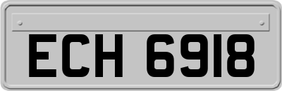 ECH6918