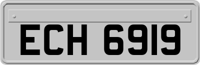 ECH6919