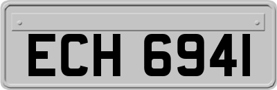 ECH6941