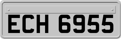 ECH6955