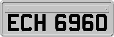 ECH6960