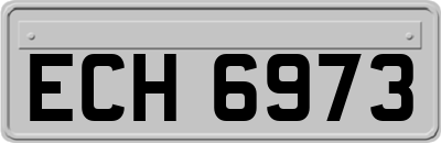ECH6973
