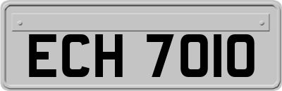ECH7010