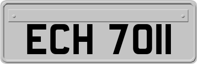 ECH7011