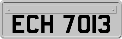 ECH7013