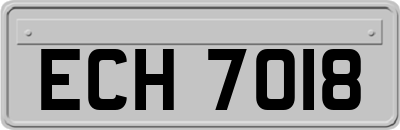 ECH7018