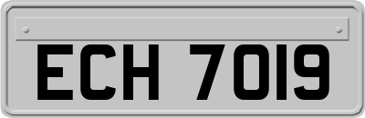 ECH7019