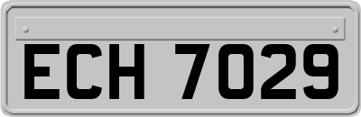 ECH7029