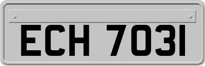 ECH7031