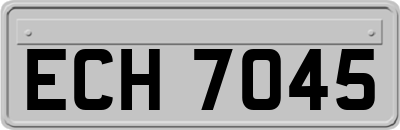 ECH7045