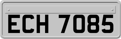 ECH7085