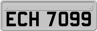 ECH7099