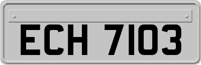 ECH7103