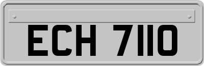 ECH7110