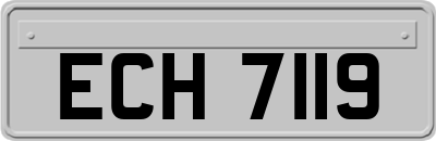 ECH7119