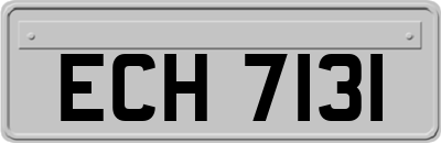 ECH7131