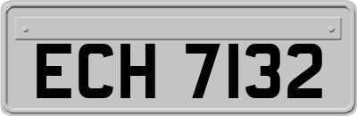ECH7132