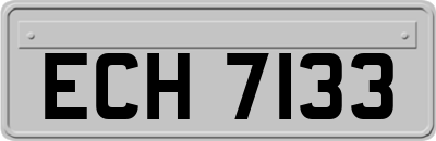 ECH7133