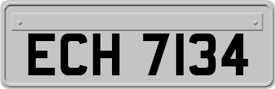ECH7134