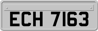 ECH7163