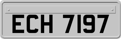 ECH7197