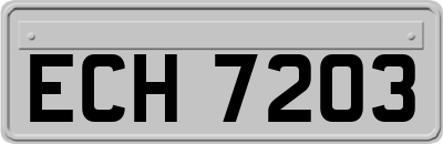 ECH7203