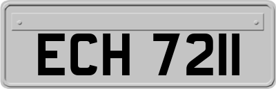ECH7211