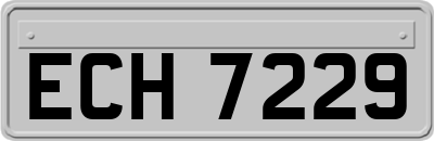 ECH7229