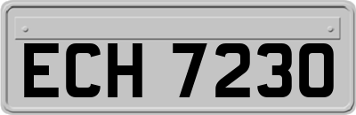 ECH7230