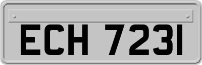 ECH7231