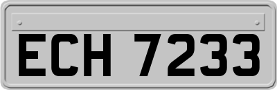 ECH7233