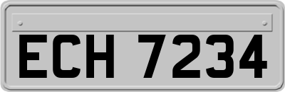 ECH7234