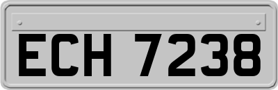 ECH7238