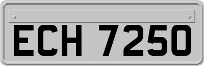 ECH7250