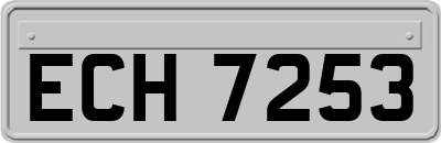 ECH7253